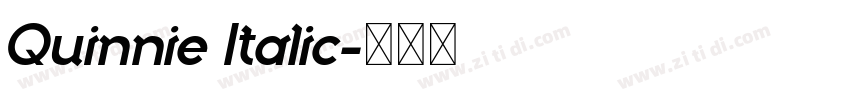 Quinnie Italic字体转换